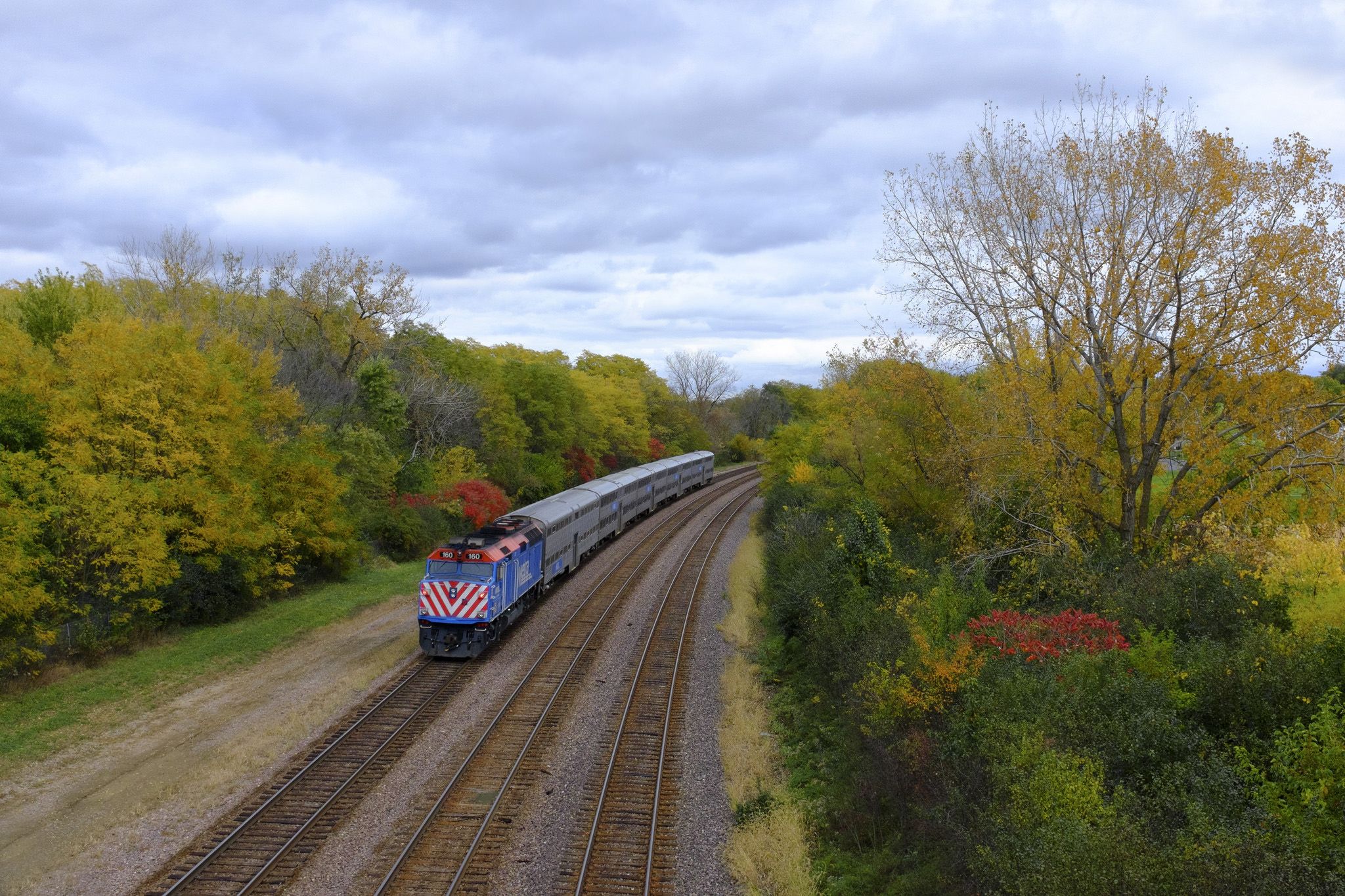 a inbound Metra train surrounded by Fall foilage.