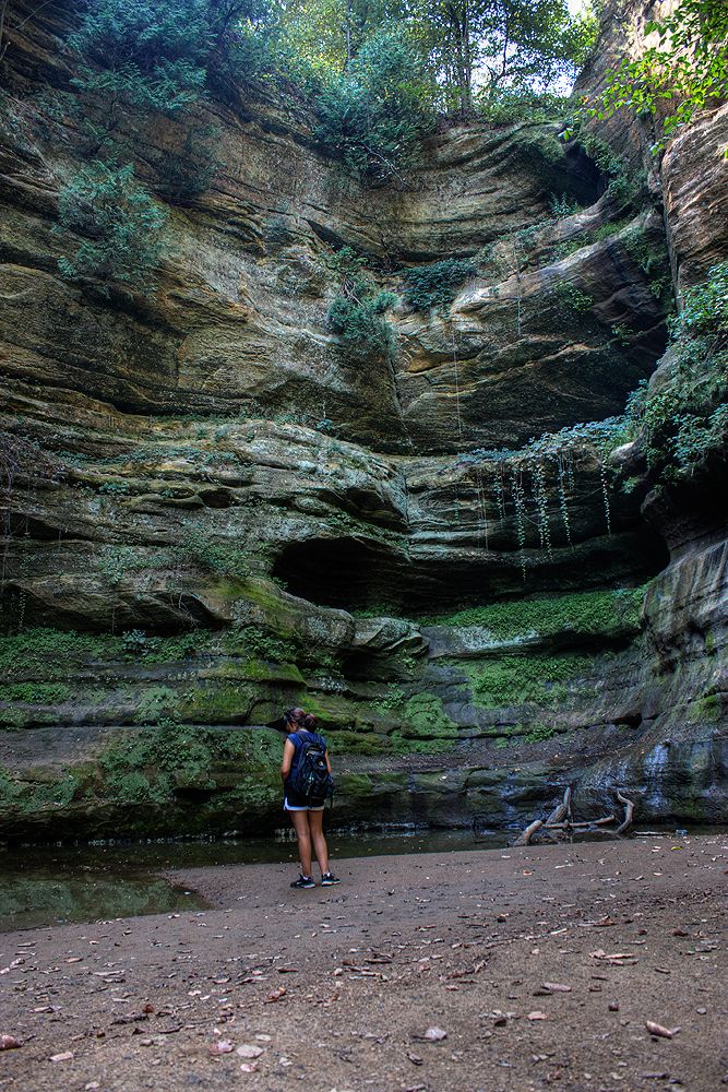 image of a canyon in Starved Rock, IL